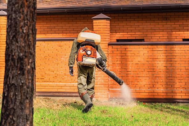Bed Bug Clearance Verification and Documentation in Dortches